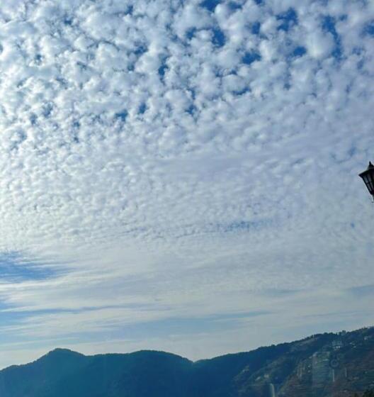 Tree Nest Resort By The Hfe