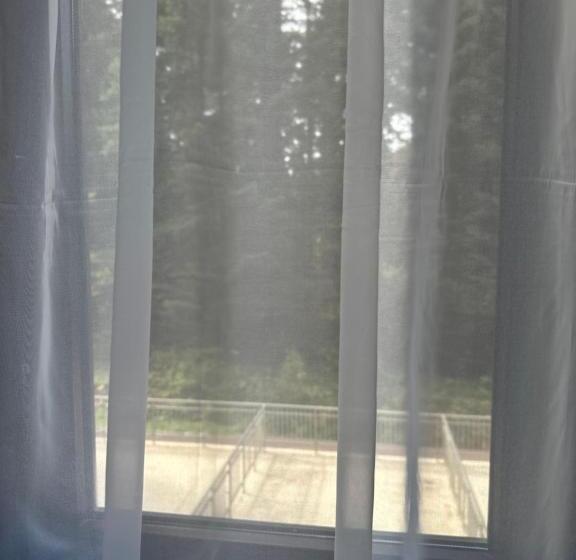 апартхотел флора 213б