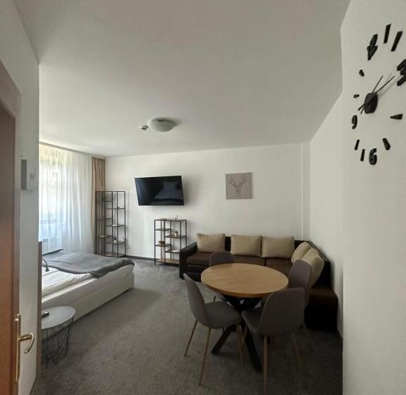 апартхотел флора 213б