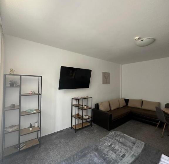 апартхотел флора 213б