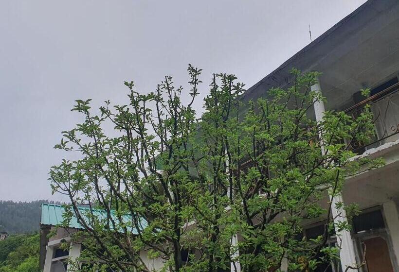 호스텔 L Ashrum Cafe & Inn