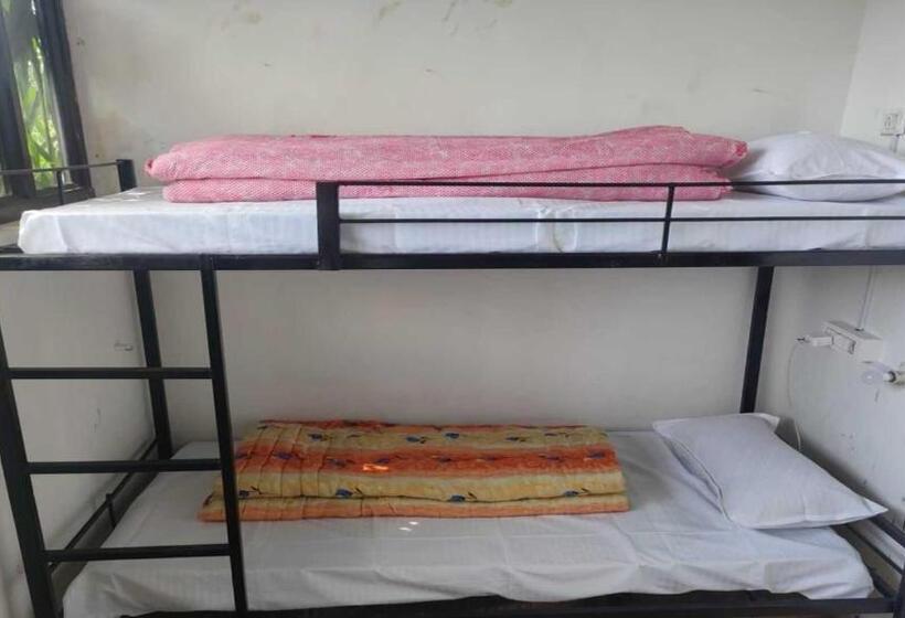 فندق صغير Park Homestay