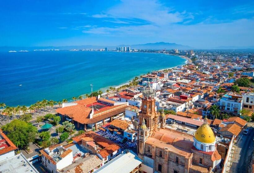 فندق صغير Vive Alegría, Dragonfly