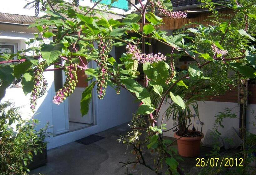 مبيت وإفطار Chambres D Hôtes Andrea