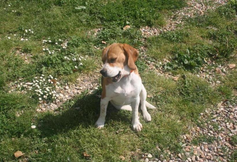 مبيت وإفطار Chambres D Hôtes Ferme De La Moinerie