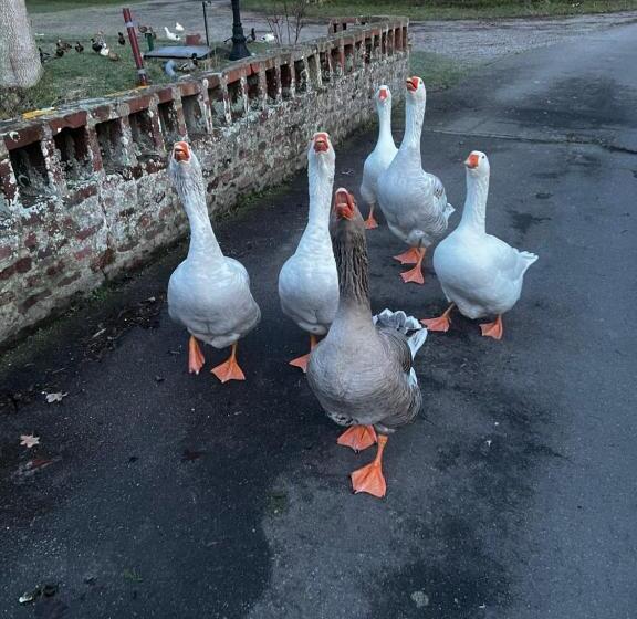 민박 Château Le Withof