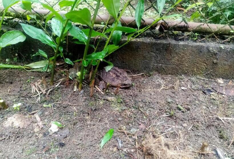 تختخواب و صبحانه La Casita