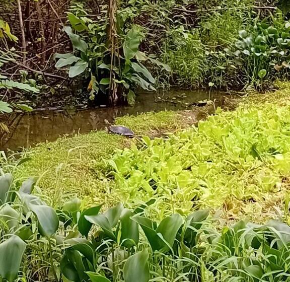 تختخواب و صبحانه La Casita