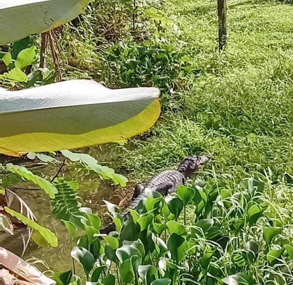 تختخواب و صبحانه La Casita