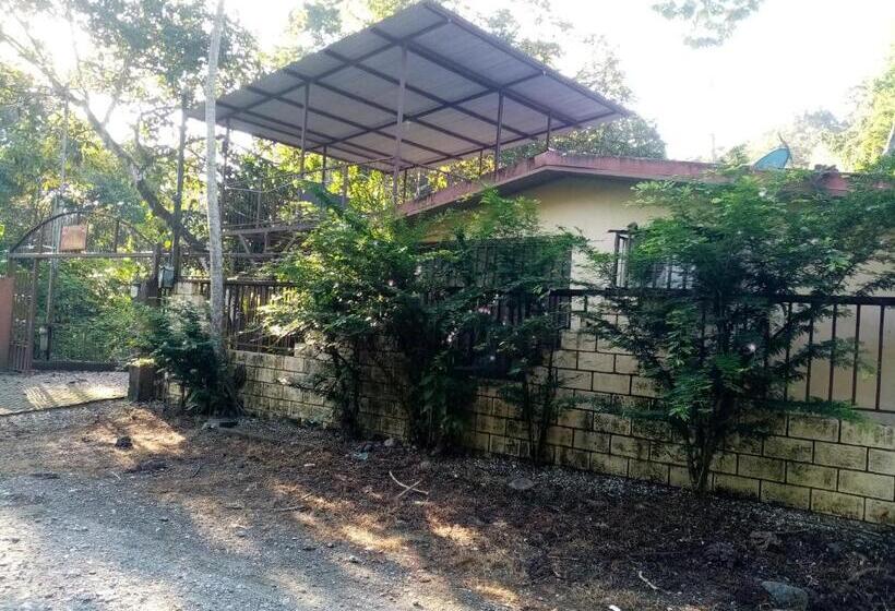 تختخواب و صبحانه La Casita