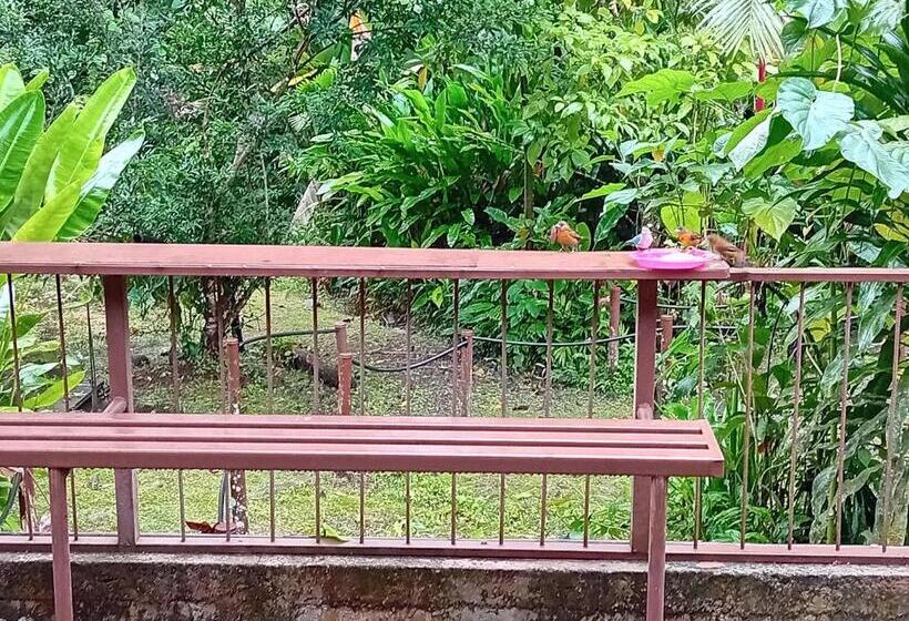 تختخواب و صبحانه La Casita