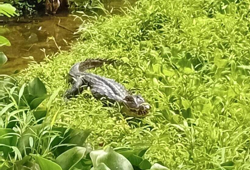 تختخواب و صبحانه La Casita