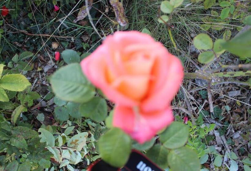 مبيت وإفطار La Trémouchère