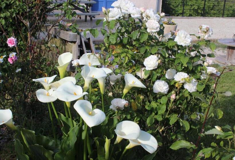 مبيت وإفطار La Trémouchère