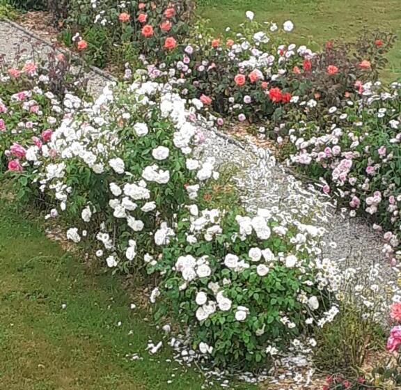 مبيت وإفطار La Trémouchère