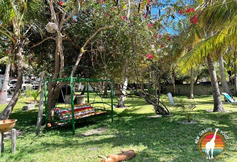 Bed and Breakfast New Giraffe House