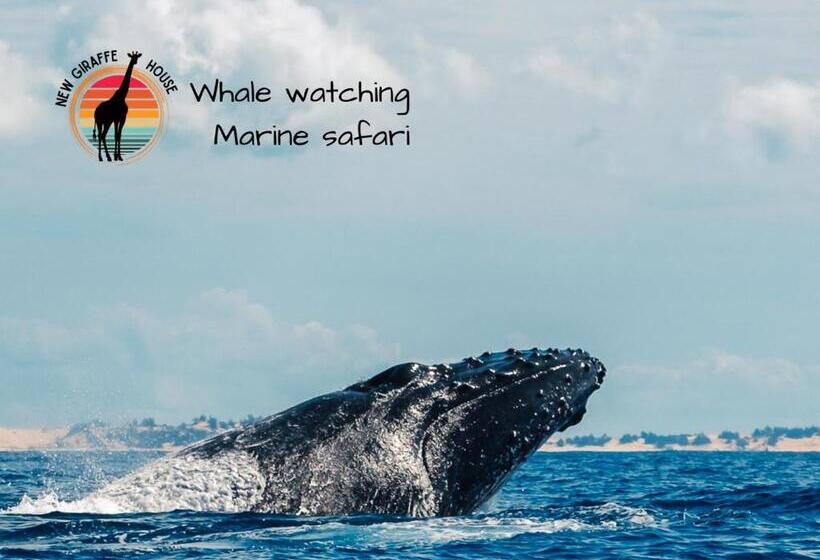 Bed and Breakfast New Giraffe House