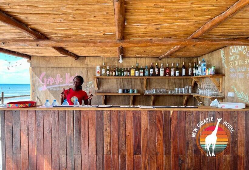 Bed and Breakfast New Giraffe House