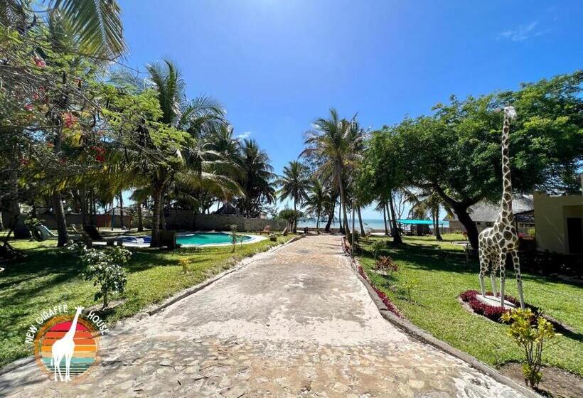 Bed and Breakfast New Giraffe House