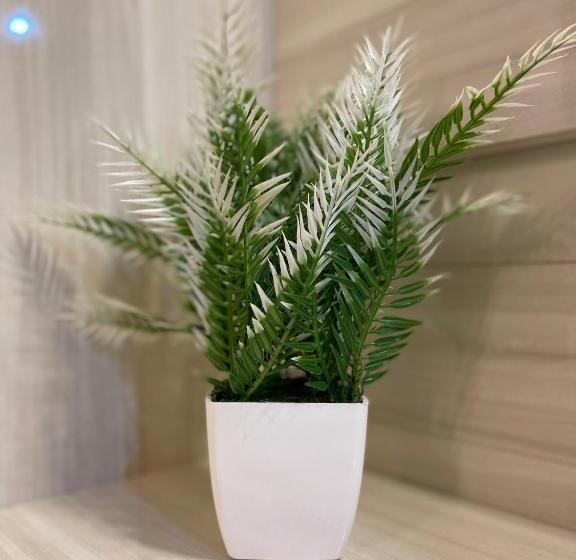 Bed and Breakfast Serene Stay India