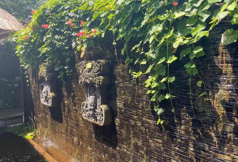 مبيت وإفطار Villa Rawarawa