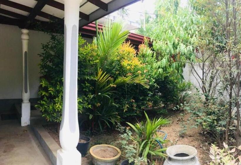 ユースホステル The Homestead Unawatuna