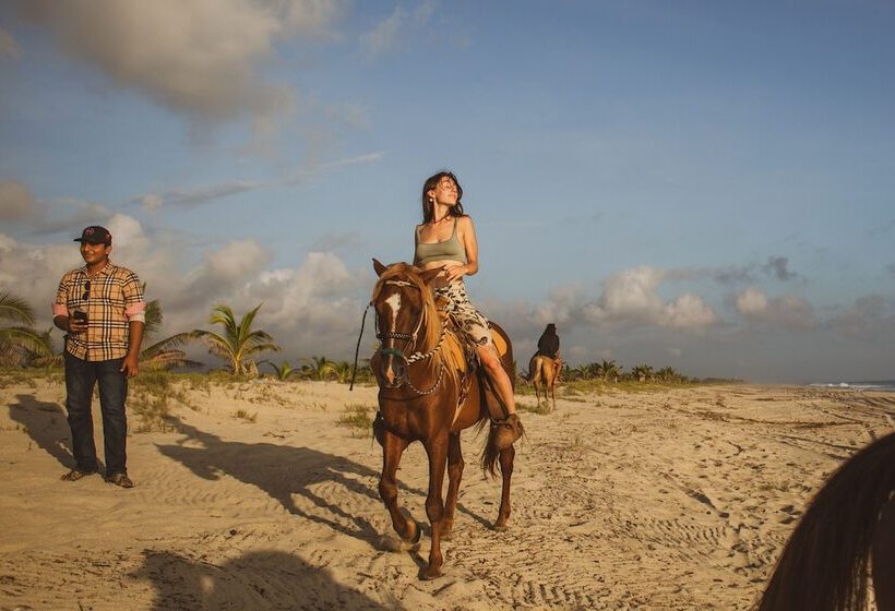 فندق Aldea Mizúl