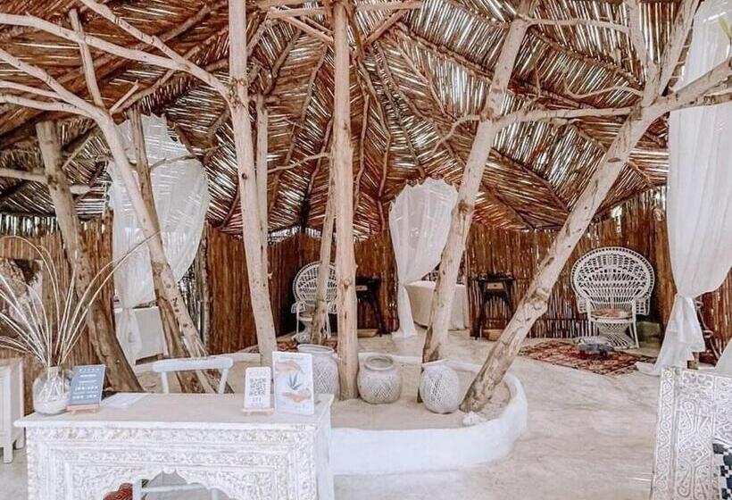 هتل De Lujo En La Isla De Punta Arena