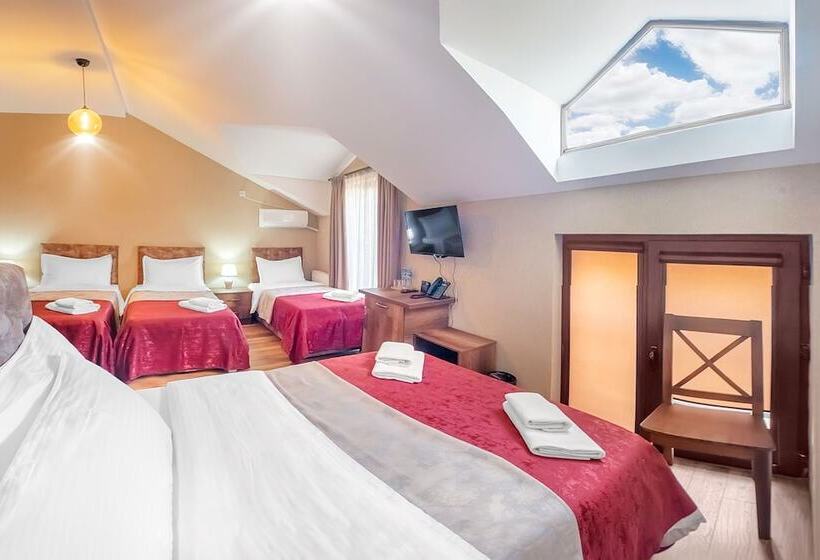 هتل Dzvel Ubanshi