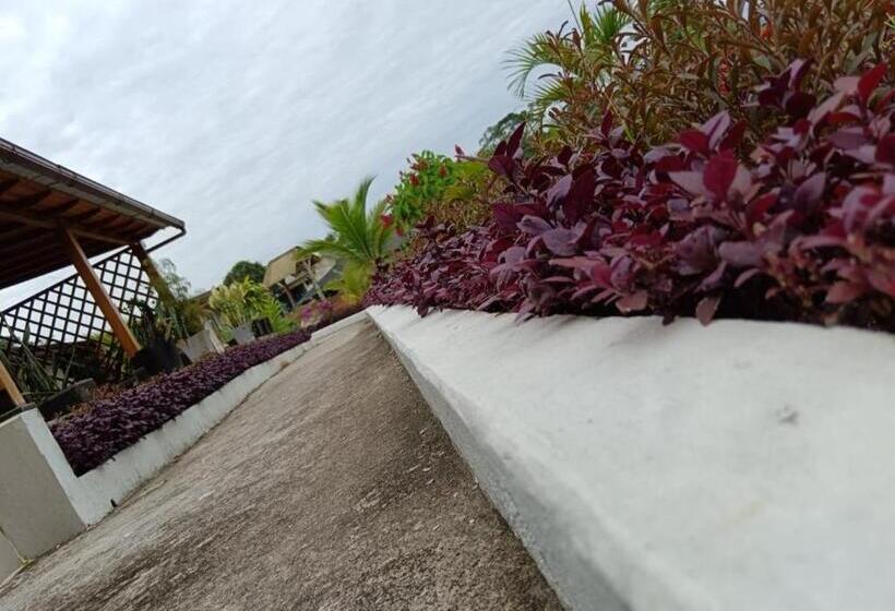 هتل Hostería Las Palmas