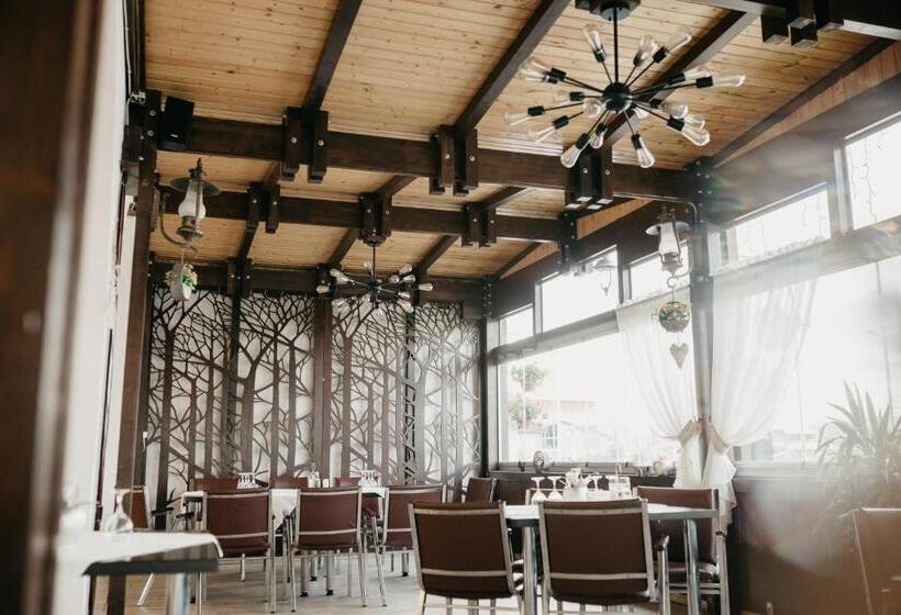 酒店 Pensiunea Ana