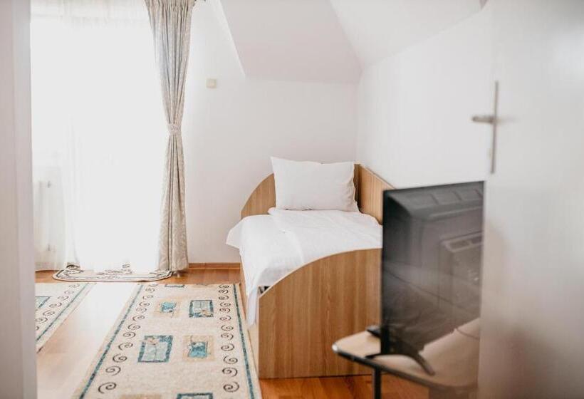 酒店 Pensiunea Ana