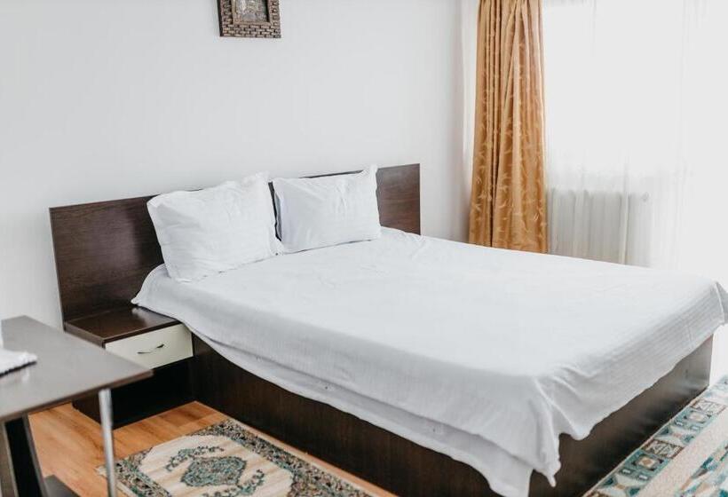 酒店 Pensiunea Ana