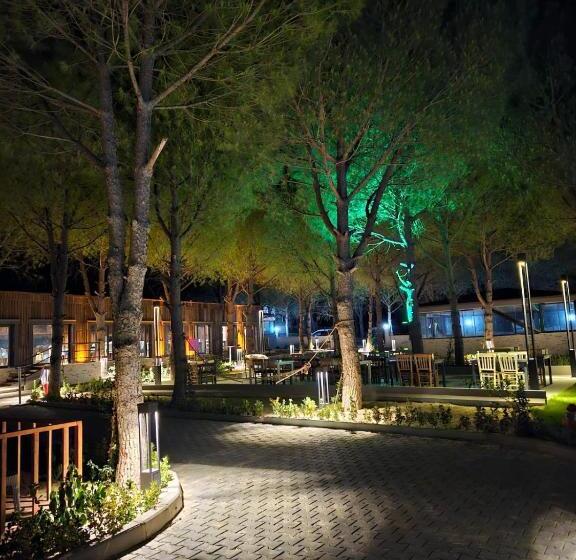 酒店 Well Life Bungalovs