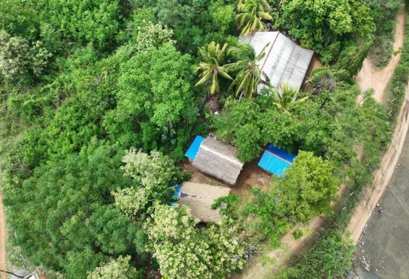 ホテル Wild Safari Clay House