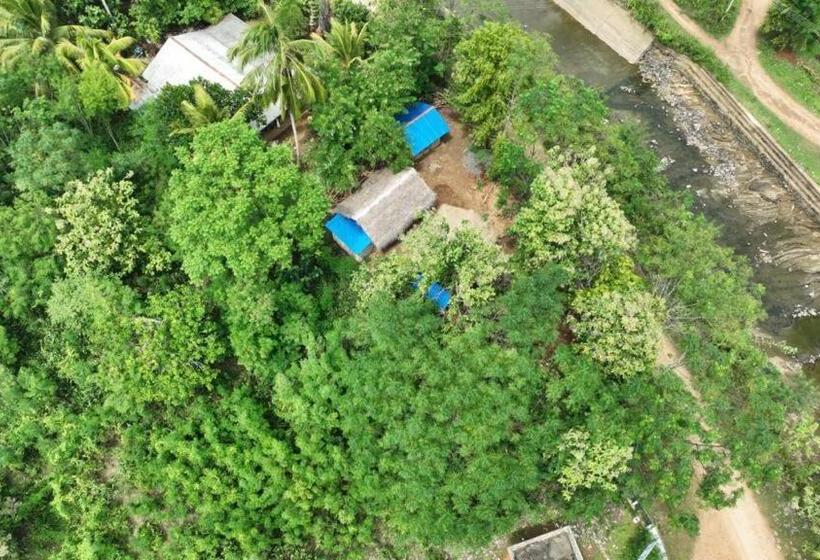 ホテル Wild Safari Clay House