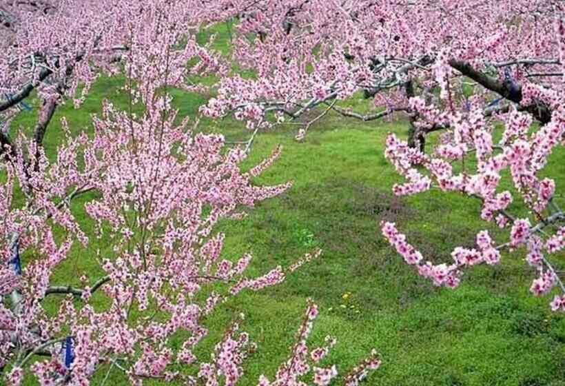 Isawa Onsen Hotel Kakyo   Vacation Stay 90651v