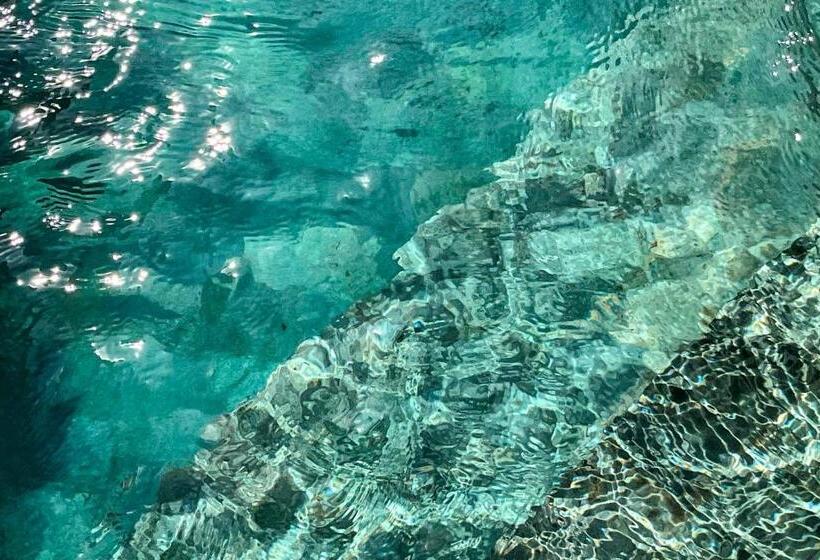 פנסיון Arti By Umah   Pererenan