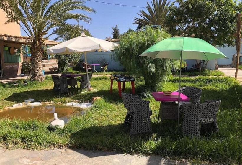 پانسیون Auberge Touristique Zriouila