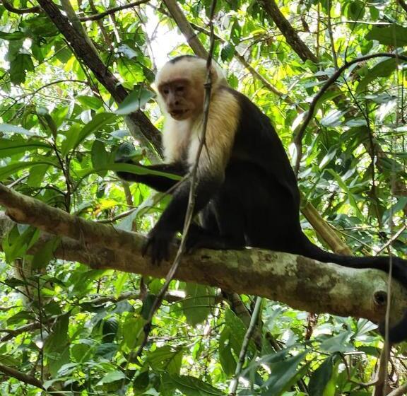 ペンション Ballena Bay Villa Lot 45 Villa Del Mar