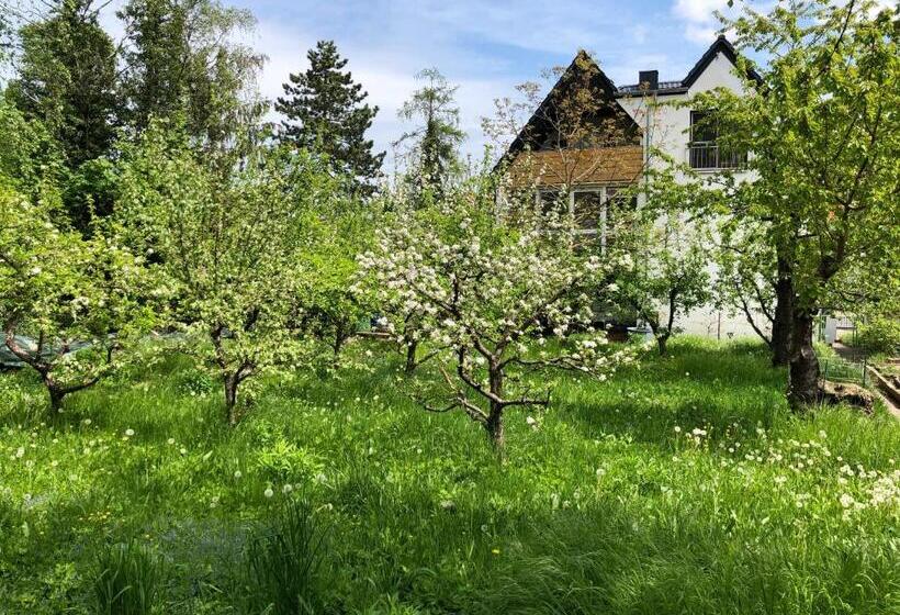 Пансион Blaues Zimmer Mit Grossem Balkon & Bad Nur 16 Km Nach Würzburg!