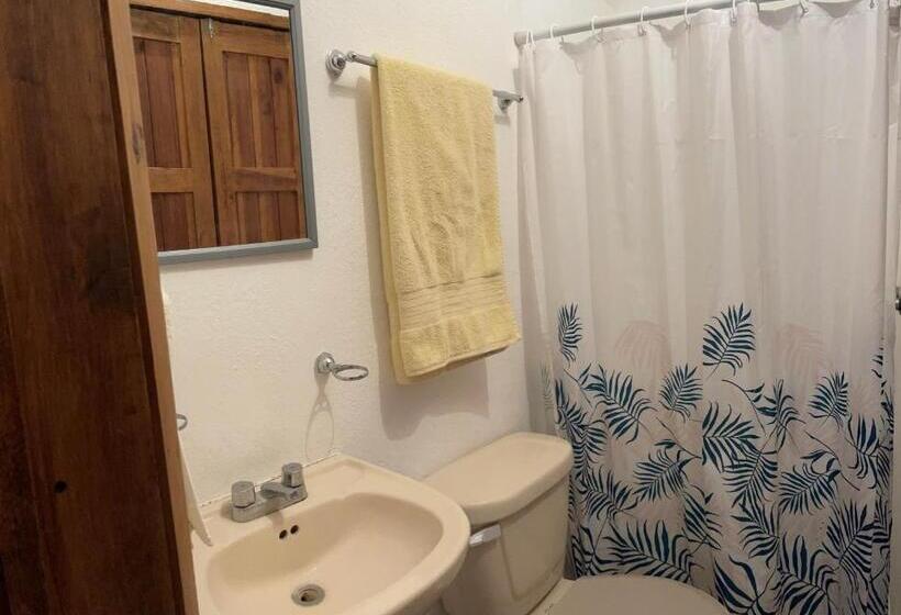 بنسيون Casa Camilia