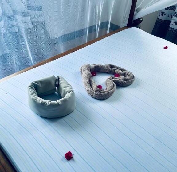 بنسيون Classic Visitors House