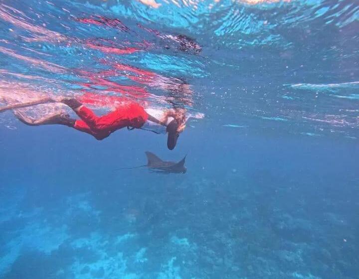 پانسیون David Homestay Raja Ampat