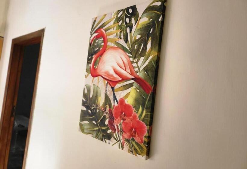 Пансион Galatia Rooms