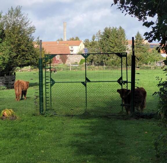 膳宿费 Hirschhof Hildebrandt