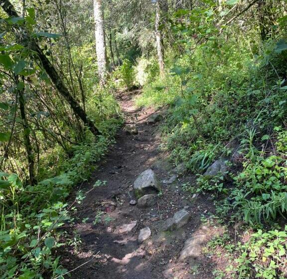 بنسيون Hostal La Roca