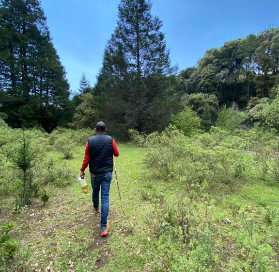 פנסיון Hostal La Roca