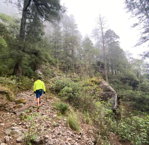 פנסיון Hostal La Roca