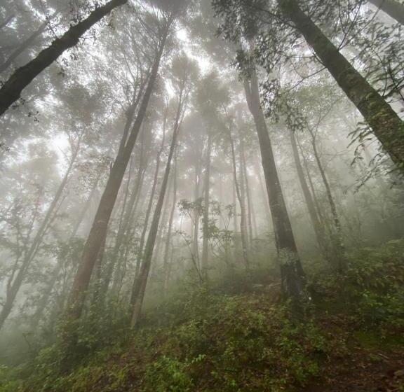 פנסיון Hostal La Roca